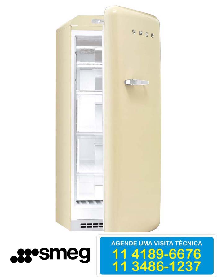 Assistência Técnica freezer